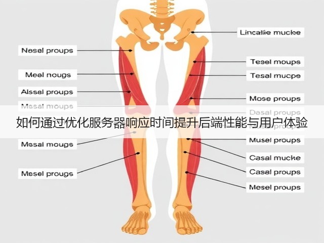 如何通过优化服务器响应时间提升后端性能与用户体验(图2) 如何通过优化服务器响应时间提升后端性能与用户体验(图2)