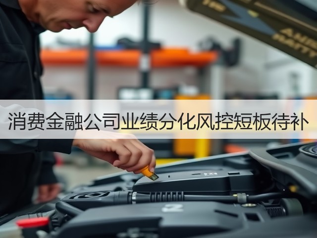 消费金融公司业绩分化风控短板待补(图3) 消费金融公司业绩分化风控短板待补(图3)