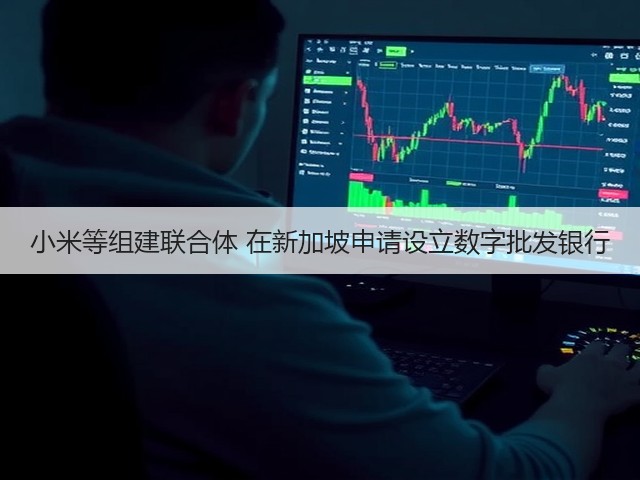 小米等组建联合体 在新加坡申请设立数字批发银行(图3) 小米等组建联合体 在新加坡申请设立数字批发银行(图3)