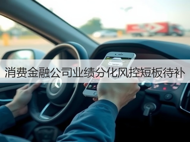消费金融公司业绩分化风控短板待补(图1)