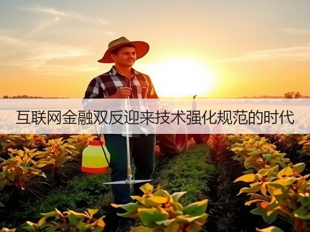 互联网金融双反迎来技术强化规范的时代(图2)