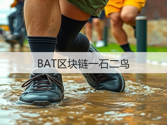 BAT区块链一石二鸟(图2) BAT区块链一石二鸟(图2)
