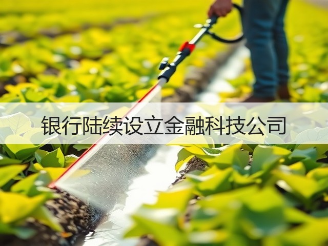 银行陆续设立金融科技公司(图3) 银行陆续设立金融科技公司(图3)