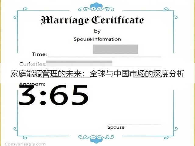 家庭能源管理的未来:全球与中国市场的深度分析(图2) 家庭能源管理的未来:全球与中国市场的深度分析(图2)