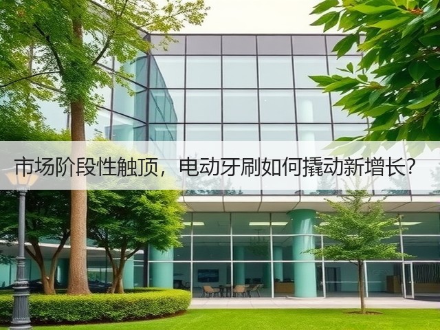 市场阶段性触顶,电动牙刷如何撬动新增长?(图3) 市场阶段性触顶,电动牙刷如何撬动新增长?(图3)