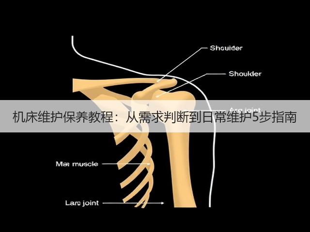 机床维护保养教程：从需求判断到日常维护5步指南(图1)
