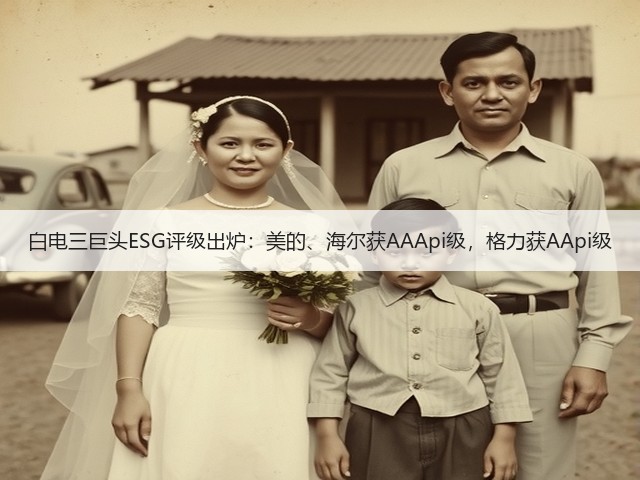 白电三巨头ESG评级出炉:美的、海尔获AAApi级,格力获AApi级(图3) 白电三巨头ESG评级出炉:美的、海尔获AAApi级,格力获AApi级(图3)