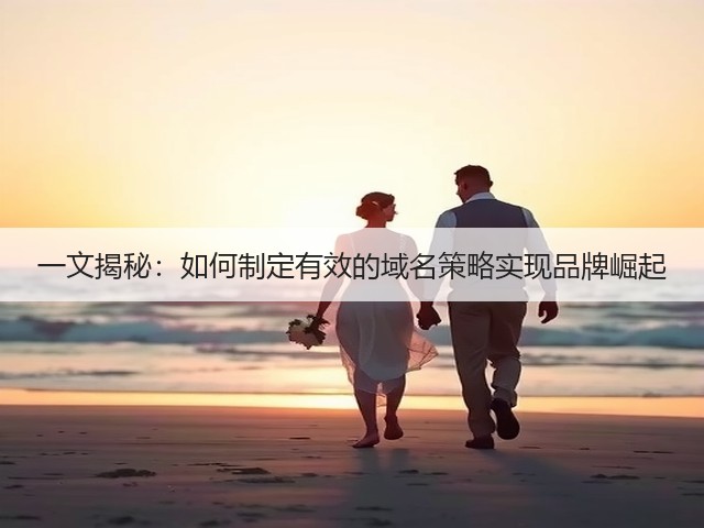 一文揭秘:如何制定有效的域名策略实现品牌崛起(图1) 一文揭秘:如何制定有效的域名策略实现品牌崛起(图1)