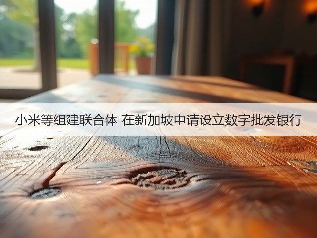 小米等组建联合体 在新加坡申请设立数字批发银行(图2) 小米等组建联合体 在新加坡申请设立数字批发银行(图2)