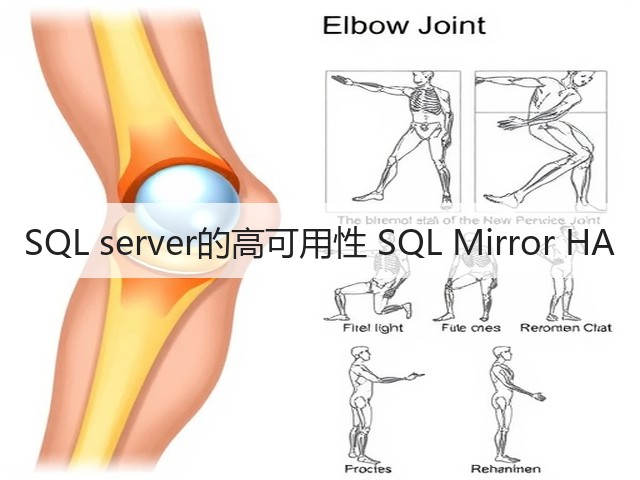 SQL server的高可用性 SQL Mirror HA(图2) SQL server的高可用性 SQL Mirror HA(图2)