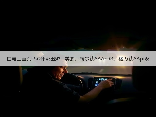 白电三巨头ESG评级出炉:美的、海尔获AAApi级,格力获AApi级(图2) 白电三巨头ESG评级出炉:美的、海尔获AAApi级,格力获AApi级(图2)