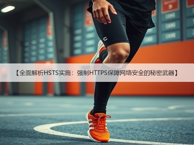 【全面解析HSTS实施:强制HTTPS保障网络安全的秘密武器】(图1) 【全面解析HSTS实施:强制HTTPS保障网络安全的秘密武器】(图1)