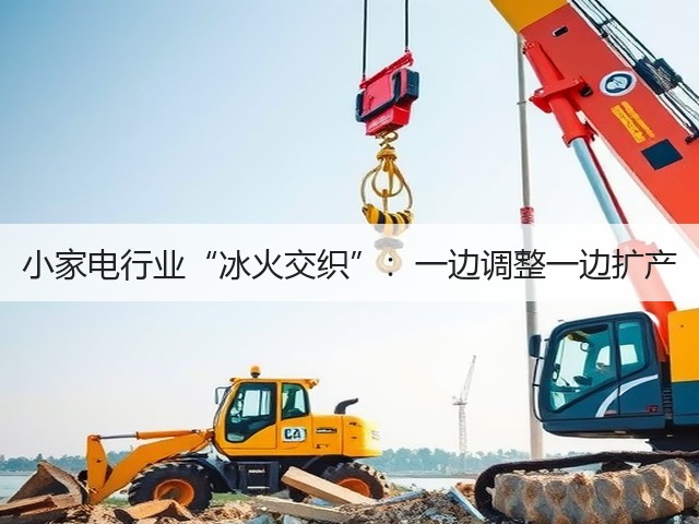 小家电行业“冰火交织”:一边调整一边扩产(图3) 小家电行业“冰火交织”:一边调整一边扩产(图3)