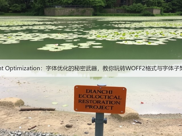 Font Optimization:字体优化的秘密武器,教你玩转WOFF2格式与字体子集化(图2) Font Optimization:字体优化的秘密武器,教你玩转WOFF2格式与字体子集化(图2)