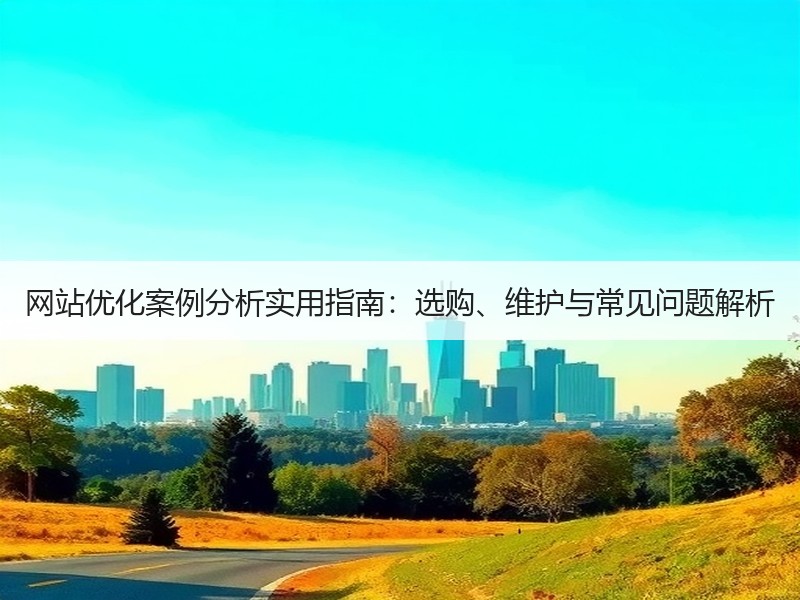 网站优化案例分析实用指南：选购、维护与常见问题解析 - 诺云路远科技资讯网