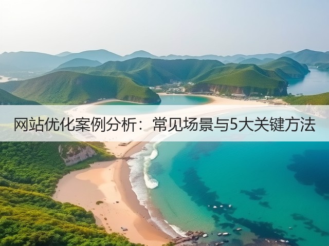 网站优化案例分析:常见场景与5大关键方法(图3) 网站优化案例分析:常见场景与5大关键方法(图3)