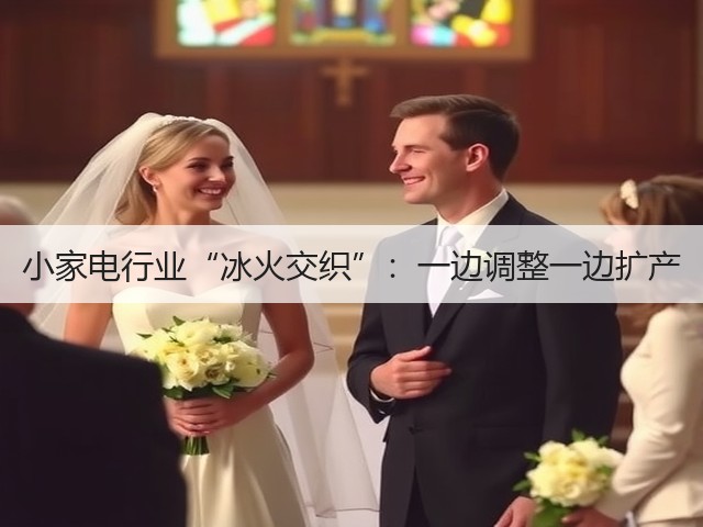 小家电行业“冰火交织”:一边调整一边扩产(图1) 小家电行业“冰火交织”:一边调整一边扩产(图1)