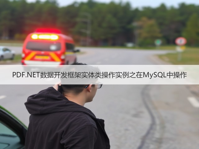 PDF.NET数据开发框架实体类操作实例之在MySQL中操作(图1) PDF.NET数据开发框架实体类操作实例之在MySQL中操作(图1)