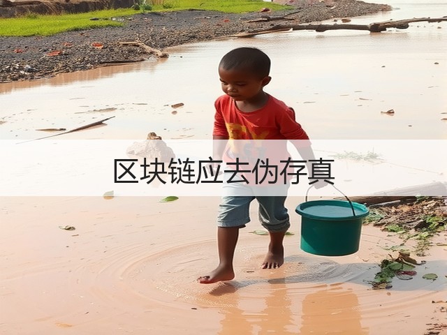 区块链应去伪存真(图2)