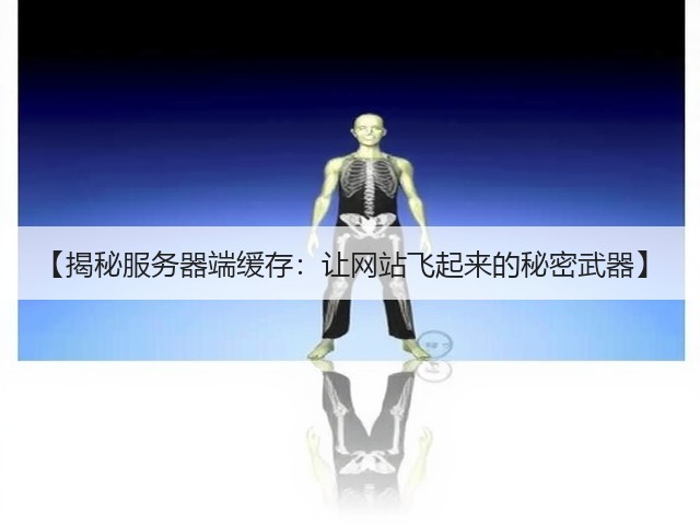 【揭秘服务器端缓存:让网站飞起来的秘密武器】(图2) 【揭秘服务器端缓存:让网站飞起来的秘密武器】(图2)