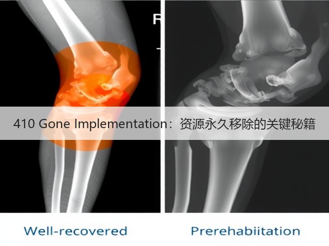 410 Gone Implementation:资源永久移除的关键秘籍(图3) 410 Gone Implementation:资源永久移除的关键秘籍(图3)