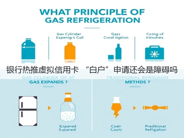 银行热推虚拟信用卡 “白户”申请还会是障碍吗(图3) 银行热推虚拟信用卡 “白户”申请还会是障碍吗(图3)
