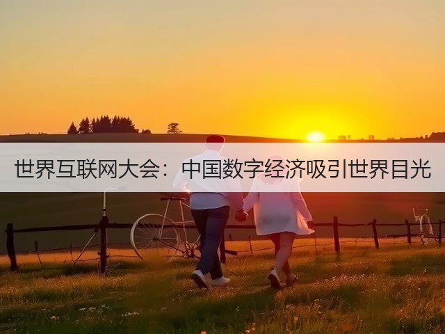 世界互联网大会：中国数字经济吸引世界目光(图3)