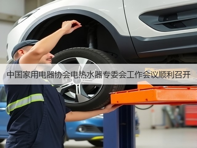 中国家用电器协会电热水器专委会工作会议顺利召开(图3) 中国家用电器协会电热水器专委会工作会议顺利召开(图3)