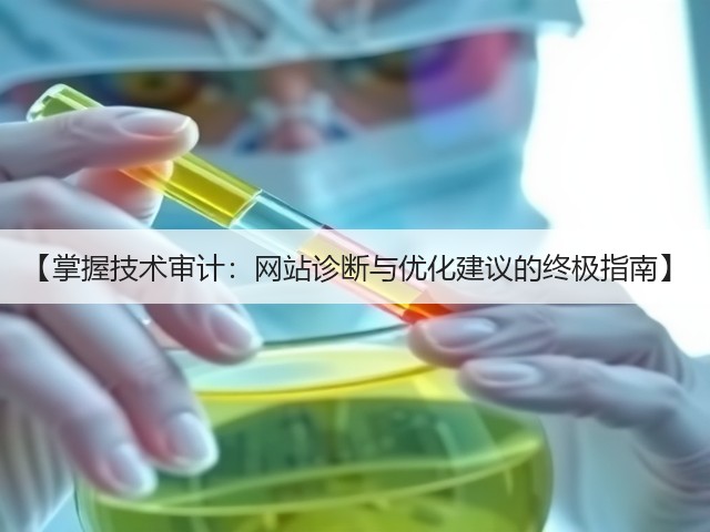 【掌握技术审计:网站诊断与优化建议的终极指南】(图3) 【掌握技术审计:网站诊断与优化建议的终极指南】(图3)