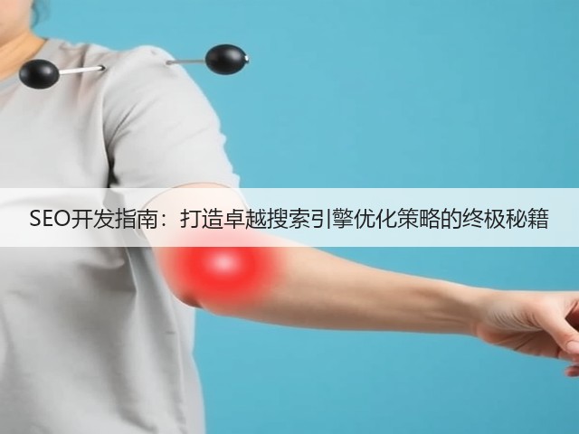 SEO开发指南:打造卓越搜索引擎优化策略的终极秘籍(图3) SEO开发指南:打造卓越搜索引擎优化策略的终极秘籍(图3)