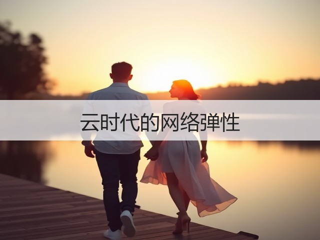 云时代的网络弹性(图3) 云时代的网络弹性(图3)