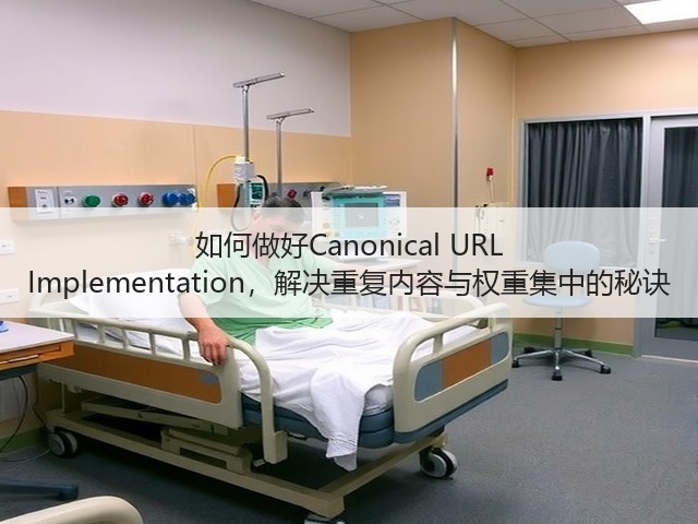 如何做好Canonical URL Implementation,解决重复内容与权重集中的秘诀(图2) 如何做好Canonical URL Implementation,解决重复内容与权重集中的秘诀(图2)