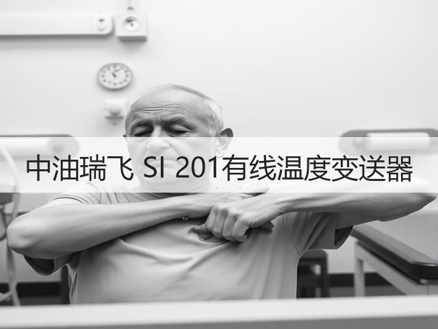 中油瑞飞 SI 201有线温度变送器(图1)