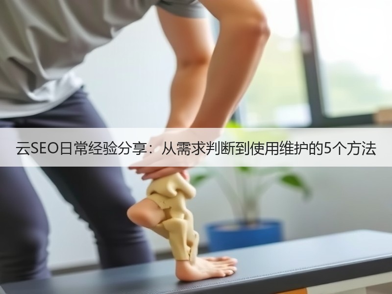云SEO日常经验分享：从需求判断到使用维护的5个方法 - 诺云路远科技资讯网