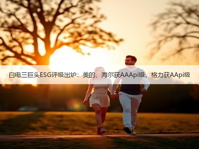 白电三巨头ESG评级出炉:美的、海尔获AAApi级,格力获AApi级(图2) 白电三巨头ESG评级出炉:美的、海尔获AAApi级,格力获AApi级(图2)