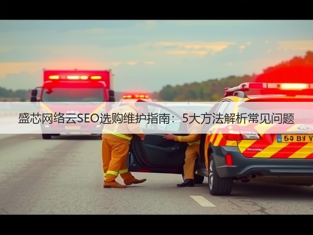 盛芯网络云SEO选购维护指南:5大方法解析常见问题(图1) 盛芯网络云SEO选购维护指南:5大方法解析常见问题(图1)
