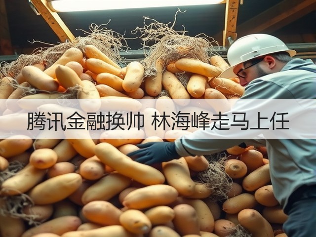 腾讯金融换帅 林海峰走马上任(图3) 腾讯金融换帅 林海峰走马上任(图3)