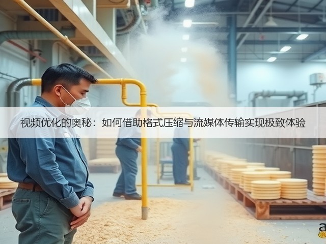 视频优化的奥秘:如何借助格式压缩与流媒体传输实现极致体验(图3) 视频优化的奥秘:如何借助格式压缩与流媒体传输实现极致体验(图3)