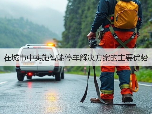在城市中实施智能停车解决方案的主要优势(图3)