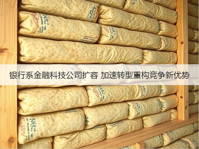 银行系金融科技公司扩容 加速转型重构竞争新优势(图1) 银行系金融科技公司扩容 加速转型重构竞争新优势(图1)