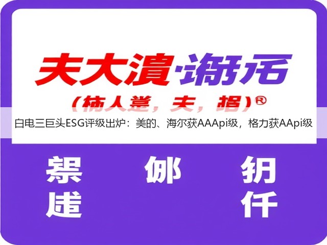 白电三巨头ESG评级出炉:美的、海尔获AAApi级,格力获AApi级(图2) 白电三巨头ESG评级出炉:美的、海尔获AAApi级,格力获AApi级(图2)