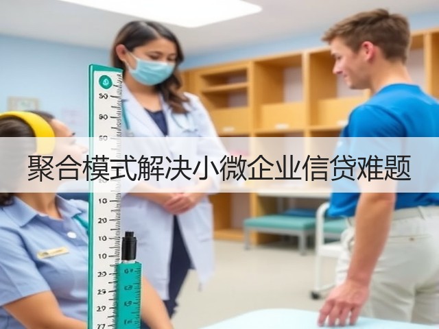 聚合模式解决小微企业信贷难题(图3)